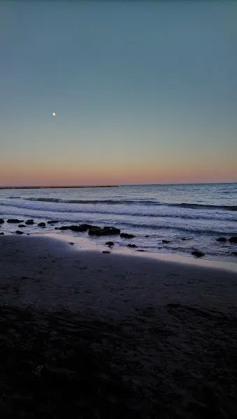Paquito Beach Obrador Sin Gluten - Santa Pola