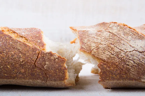 TRITICUM Just for Bread Lovers