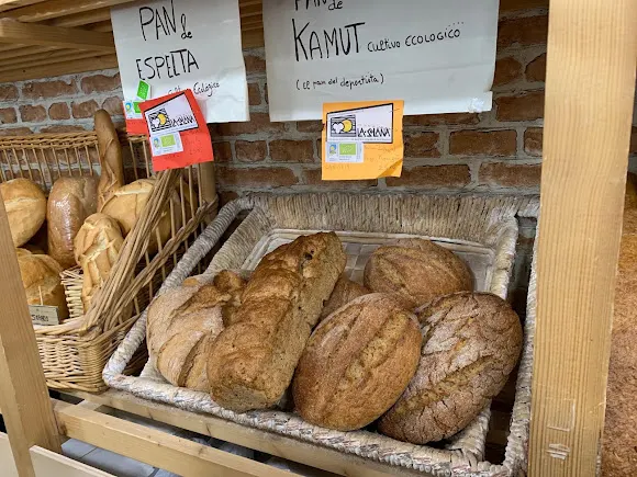 Panadería Serendipia (Volvemos a abrir el 18 de Julio) - Aranda de Duero
