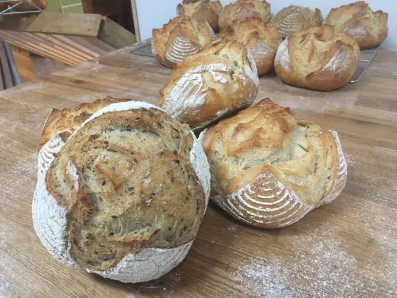 La Panadería de Peraleda de la Mata - Peraleda de la Mata