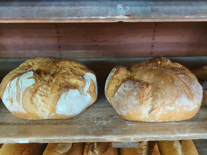 Seyglo Panaderías