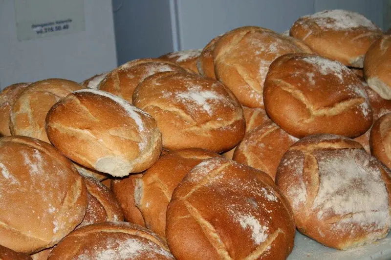 Panaderia Virgilia - Castellón de la Plana