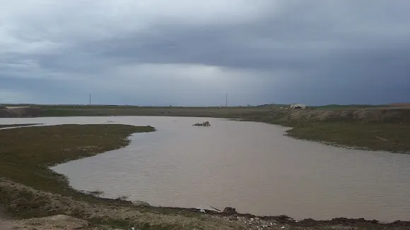 La Torre - Carpio