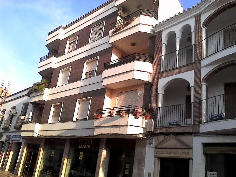 Polvillo