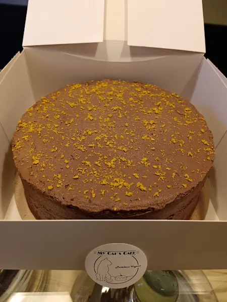 My Cat's Cake - Cuenca