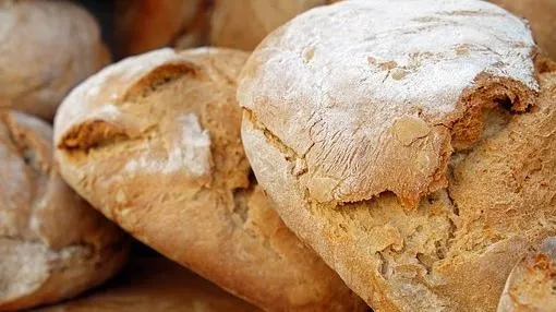 Panadería - Repostería Sanz S.L. - Huesca