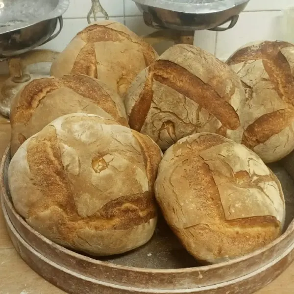 Panaderia Artesanos LEONVALDERAS - León