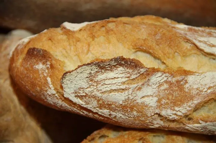 Panadería y Repostería Delicias S. L.