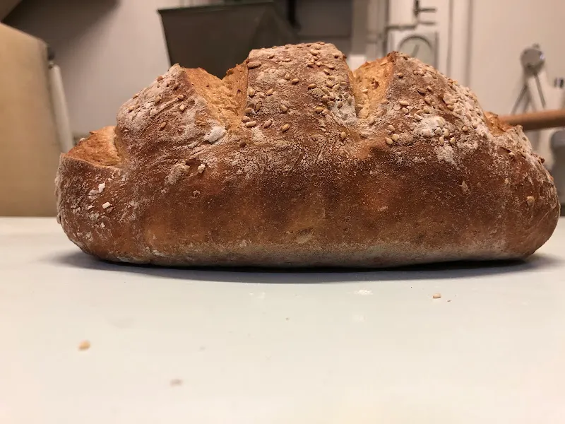 Panaderia Salaberri - Murillo el Fruto