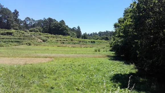 Panadería Ribadelouro