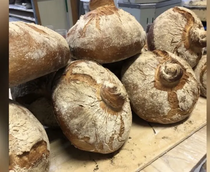 Panificadora Víctor Cordo e. Hijos S.L. - Panadería en Vilagarcía de Arousa