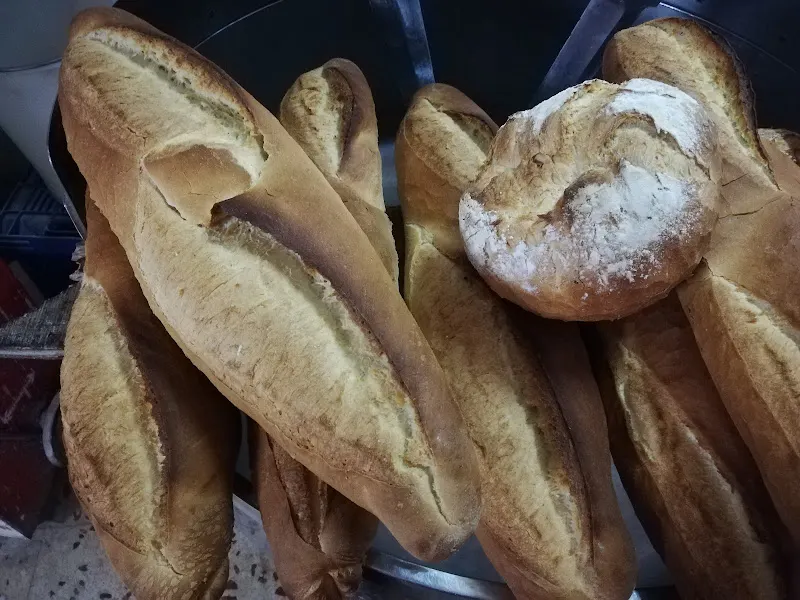 Horno casa March