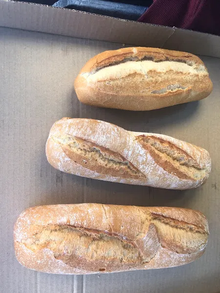 Panesa, Panadería Gallega
