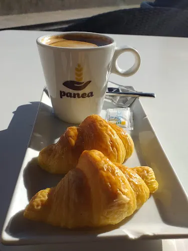 Panea Benetússer - Benetusser