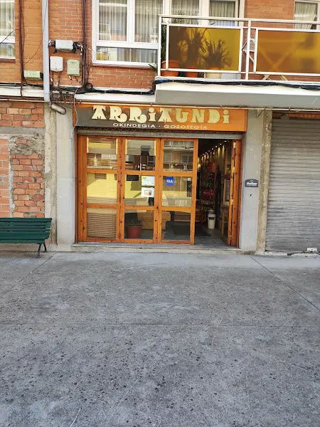 Arriaundi Okindegia