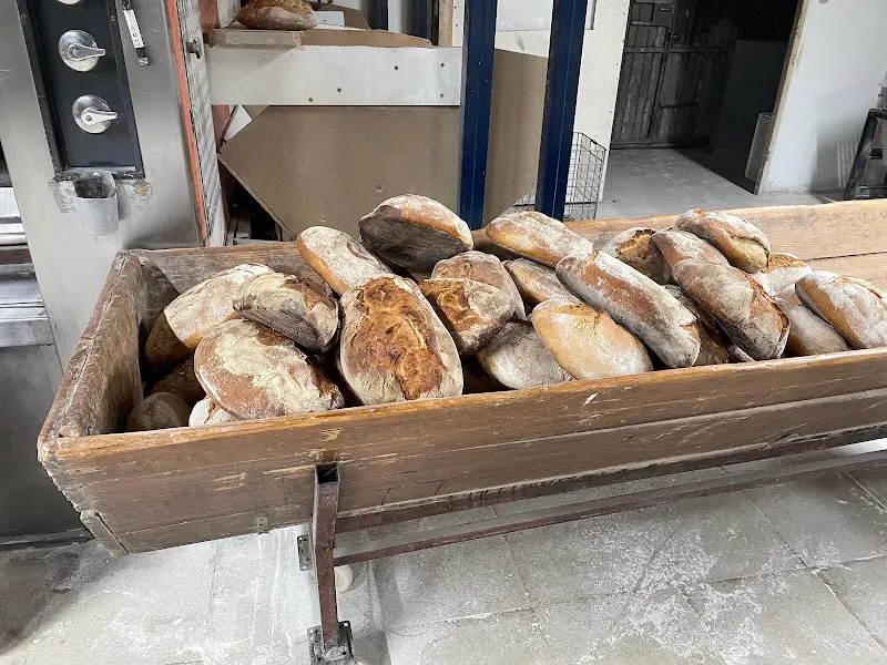 Panificadora Gallega - Sestao