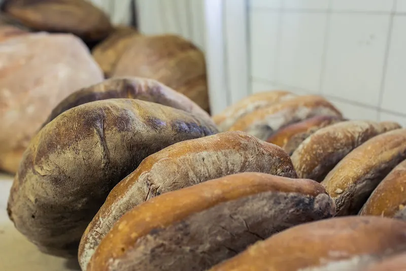 Panaderia LyM - Una de Quintana