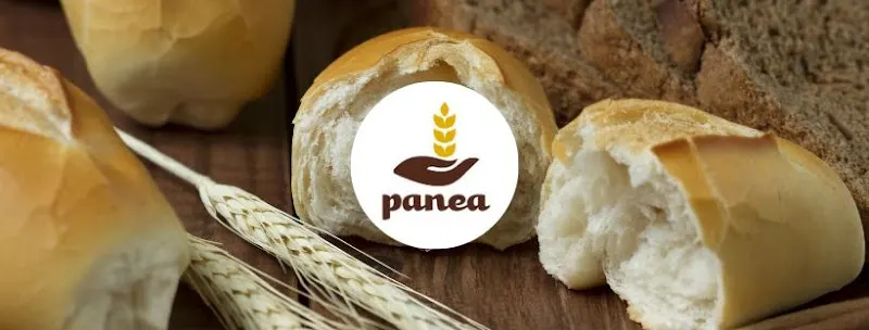 PANEA AZZATI - Valencia