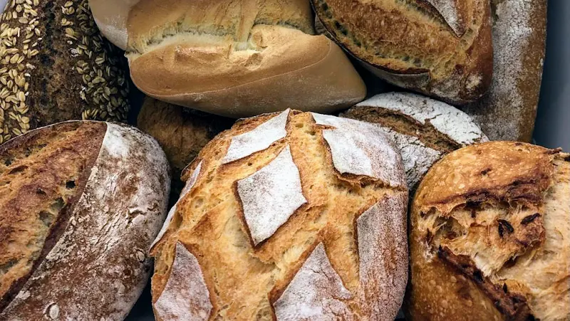 Panadería Hermanos Fenández (Concepción)
