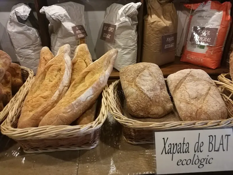 Tot Teca - Forn Gotés