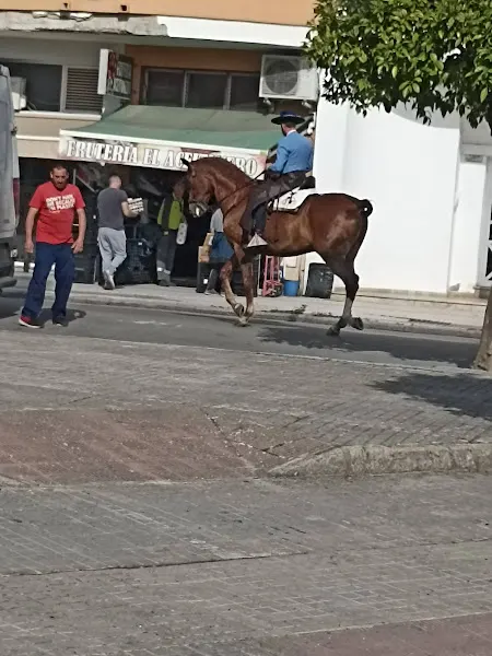 Horno San Diego