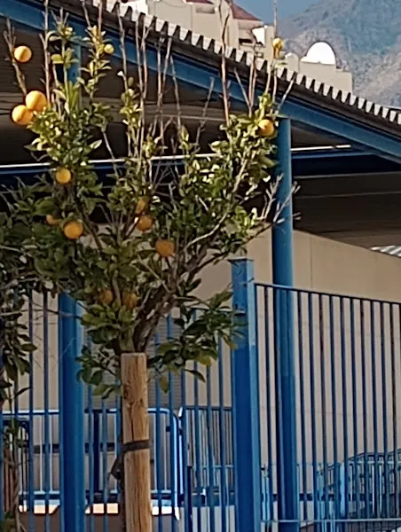 Panaderia Fruteria Yaya Maria - Estepona