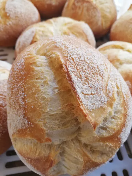 Panadería Degustación Camprodon - Vic