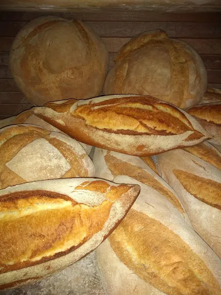 Panadería Quico S L - Ceuti