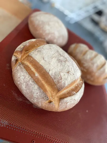 Panaderia Salgado - Carmona