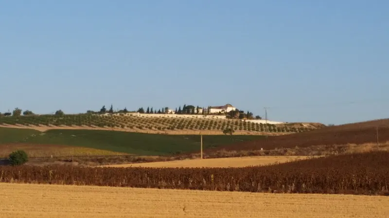 Horno Antonio Gorrión