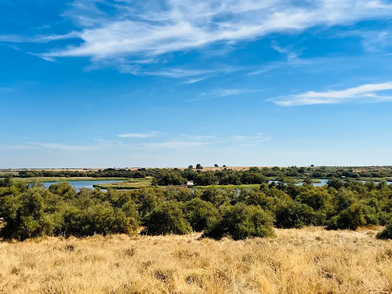 Isla del Pan - Zona de observación de aves en Daimiel - foto 3