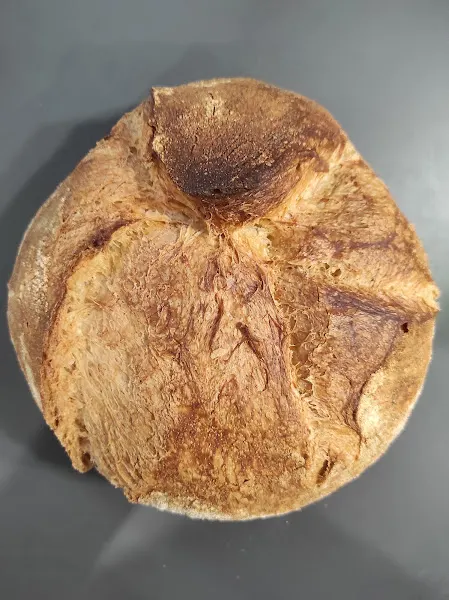Horno de Pan Cases - Panadería en Torello - foto 2