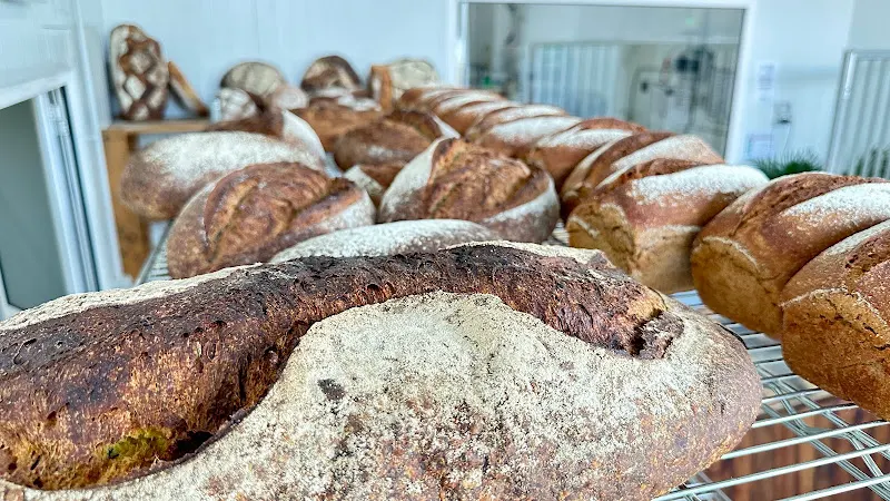 PANCULTURA (EL PAN DE SALVA) - Vejer de la Frontera