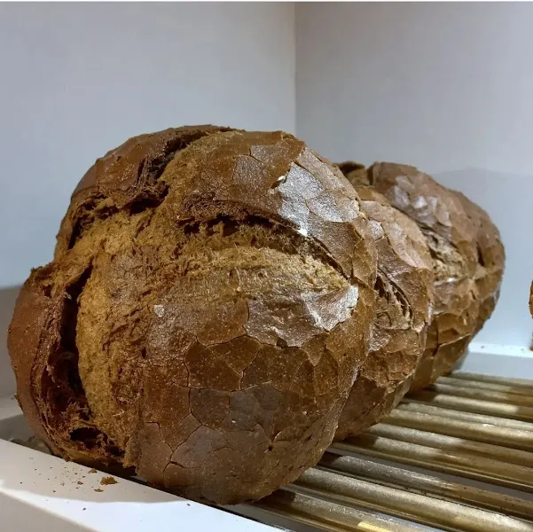 horno de pan nova 22