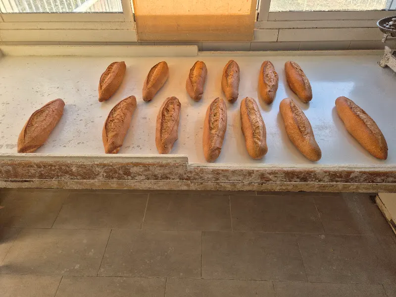 Panaderia Fontelo - Panadería en Celanova - foto 2
