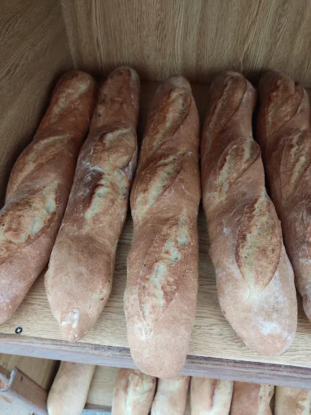 Panadería Sofía - Quiroga