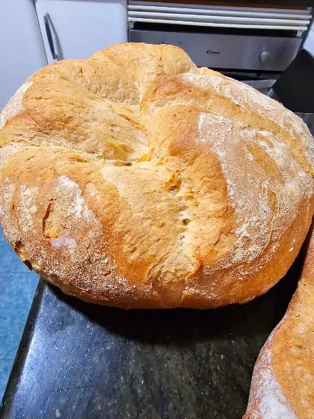Horno pastelería Marina - Llombai