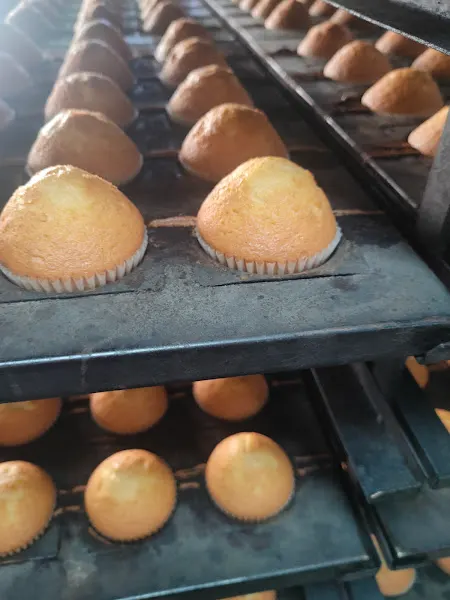 PASTELERIA OROZCO - Fontanar