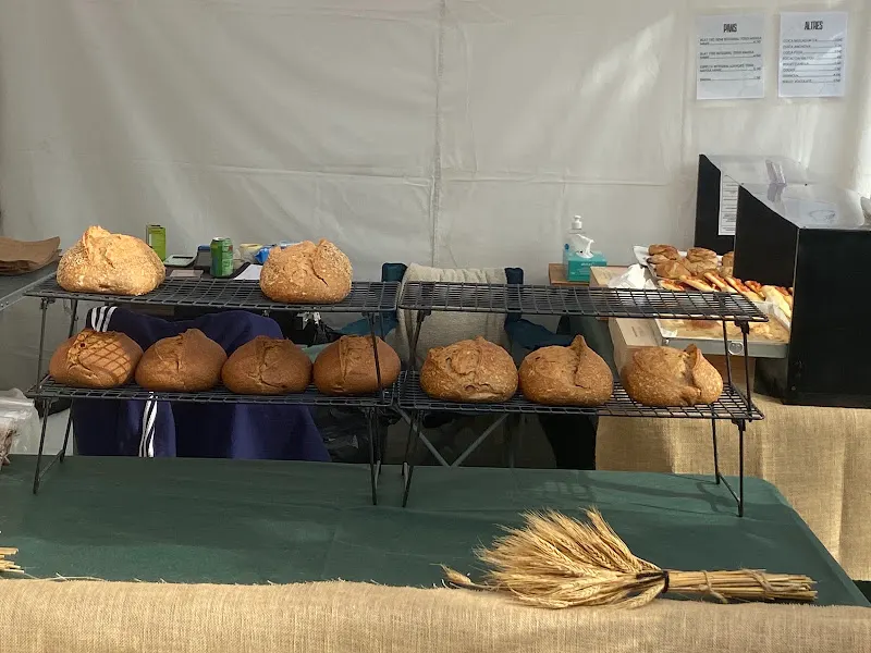 Cal Curret - Panadería en Alcalali - foto 2