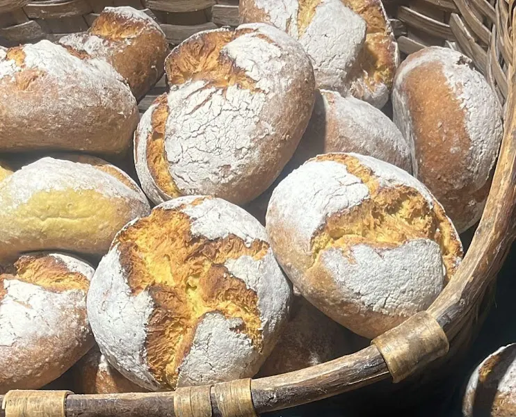 Elortatxu - Gamiz-Fika