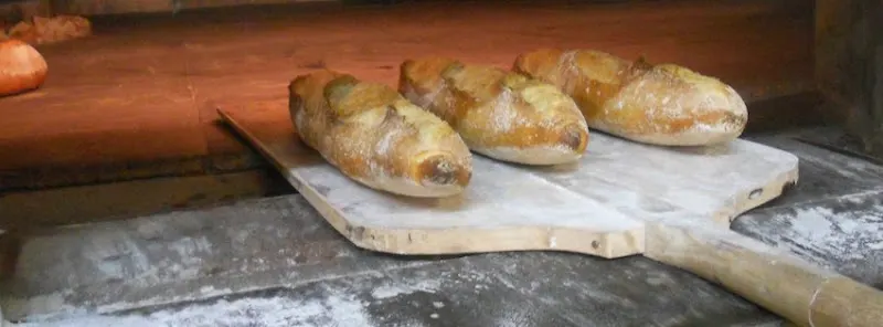 Panificadora Ntra. Sra. de Gracia S.L. - Panadería en Málaga - foto 3