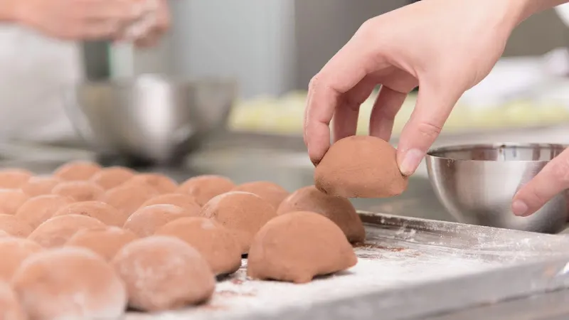 Niji Mochis