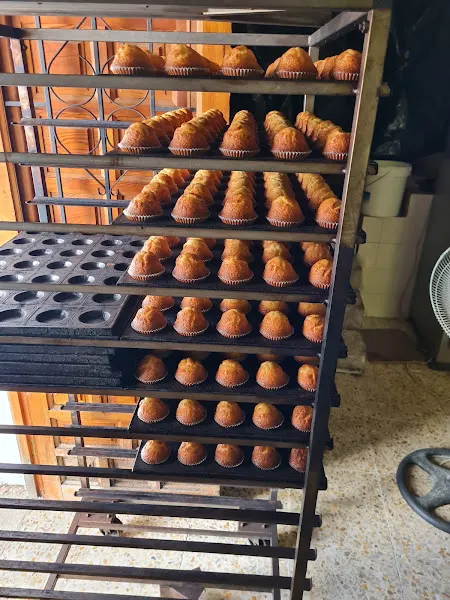 José María García Pérez - Panadería en Mazuecos - foto 2