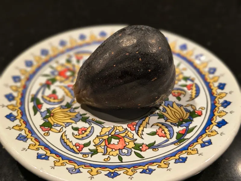 Panadería de Palau-Sator - Palau-sator