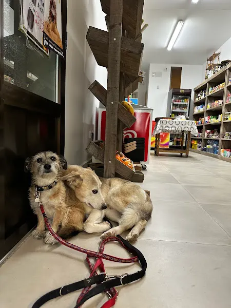 Ultramarinos 61. Panadería y Supermercado - Monasterio de Rodilla