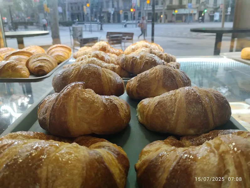 Macachin Café y Bollería