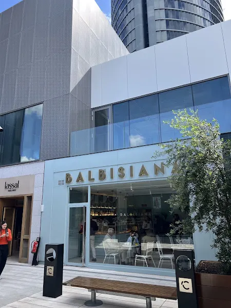 Balbisiana Caleido - Madrid