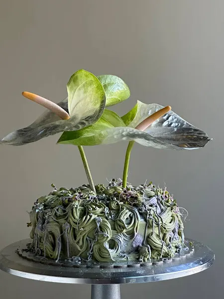 cou.cou cake - Barcelona