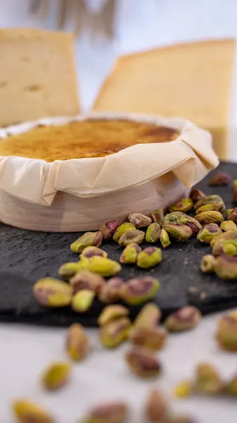 Ratatouille Cheesecake Sevilla