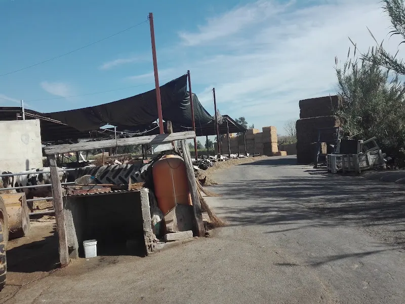 Panadería Ramón